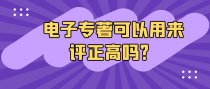 电子专著可以用来评正高吗？
