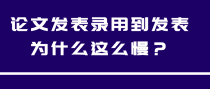 论文发表录用到发表为什么这么慢？